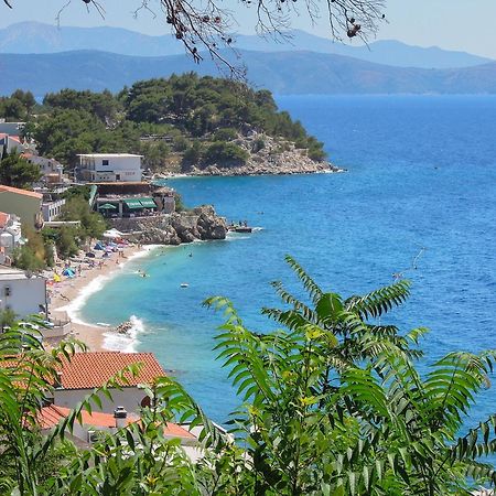 Vila Mila Mare دراسنيتش المظهر الخارجي الصورة